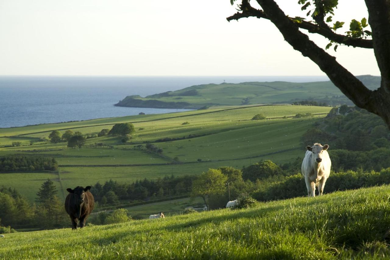 Orroland Holiday Cottages Dundrennan Dış mekan fotoğraf